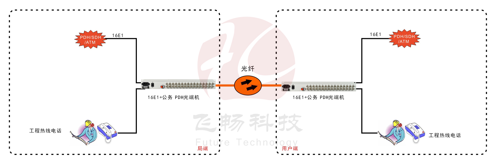 16E1 PDH黄瓜AVAPP